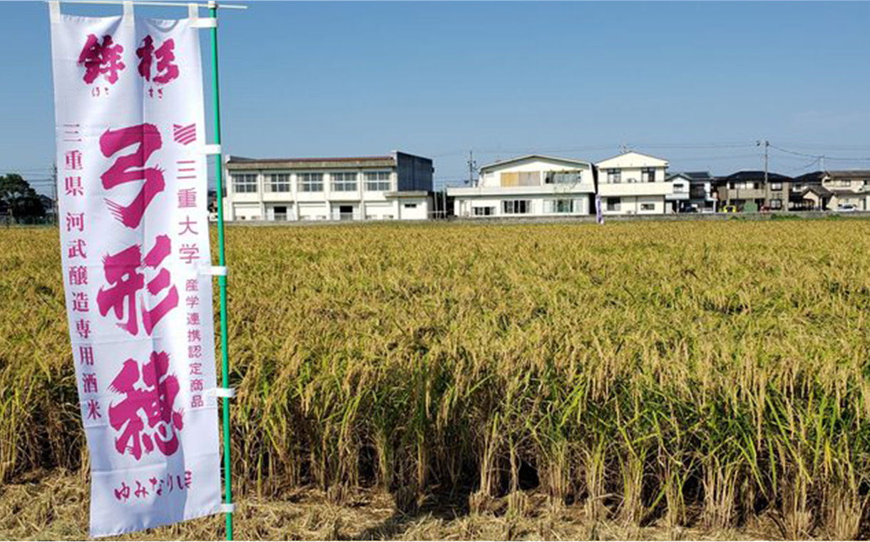 明野さくもつ 純米吟醸 弓形穂