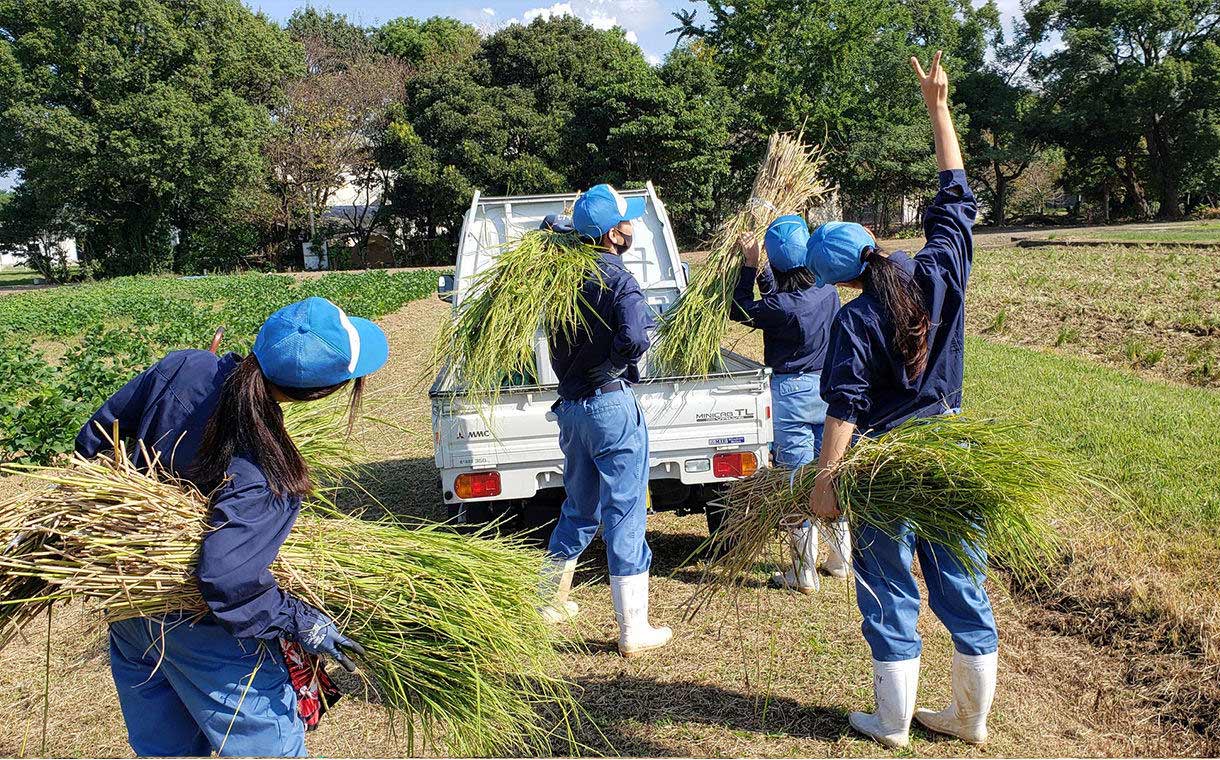 明野さくもつ 純米吟醸 弓形穂