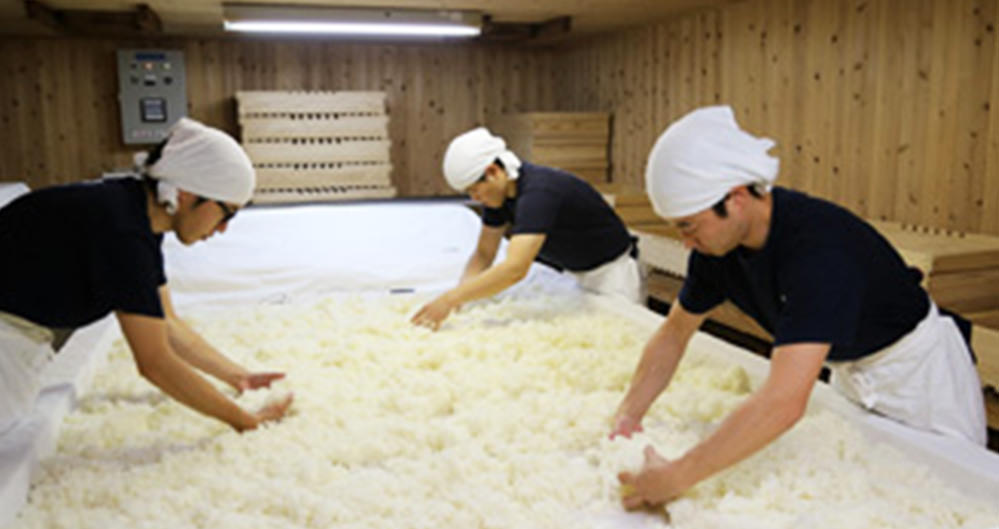 而今 特別純米 火入れ 木屋正酒造｜酒乃店もりした｜三重の地酒