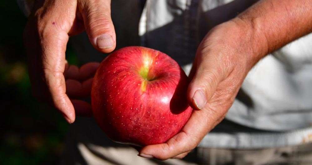 マルカイコーポレーション