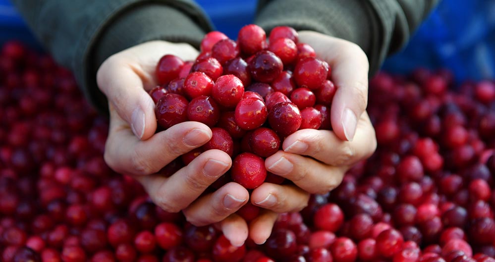 マルカイコーポレーション