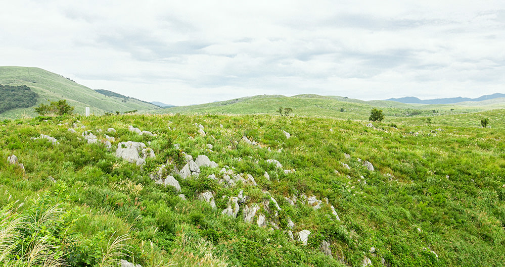 永山本家酒造場