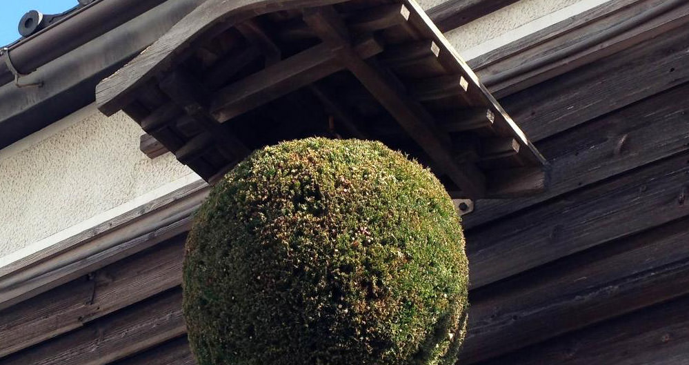 清水清三郎商店