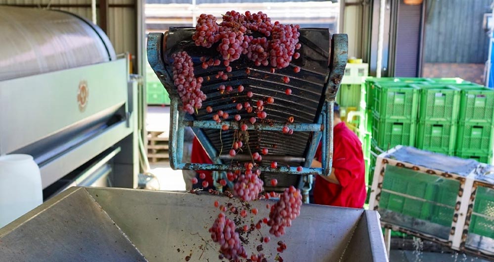 高畠ワイナリー