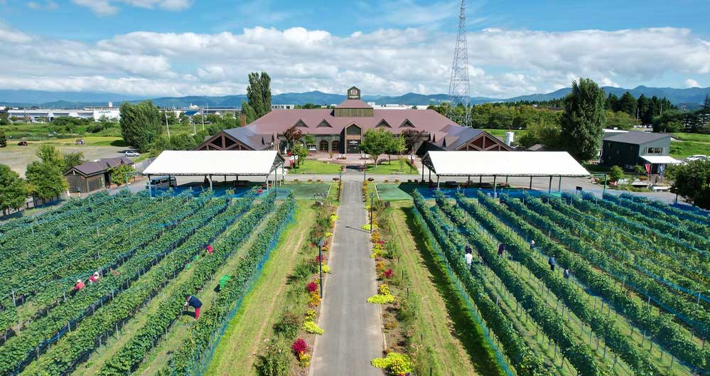 高畠ワイナリー